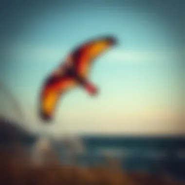 Notable Phoenix Kite: A Comprehensive Exploration Notable Phoenix Kite: A Comprehensive Exploration