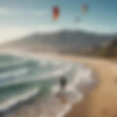 A group of kiteboarders enjoying a sunny day