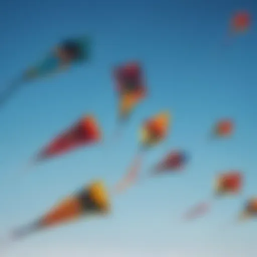 A vibrant array of kites showcasing various designs in a clear blue sky