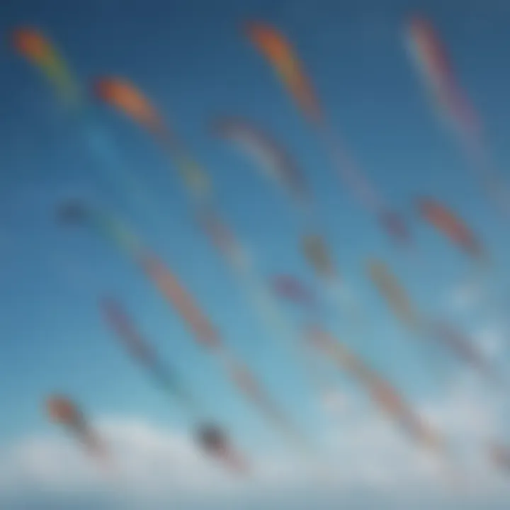 Close-up of various kite types arranged for display