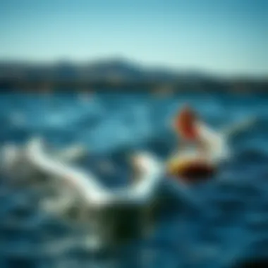 Traditional vs. Hydro Foil Boards Comparison of traditional boards and hydro foil boards on the water