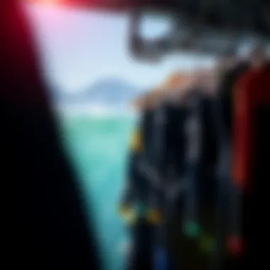 The Wetsuit Hanger Dryer: Maximizing Gear Longevity and Performance Summary The Wetsuit Hanger Dryer: Maximizing Gear Longevity and Performance Summary