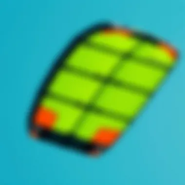 Kite Canopy Design and Materials Visual representation of a kite canopy highlighting material and design variations